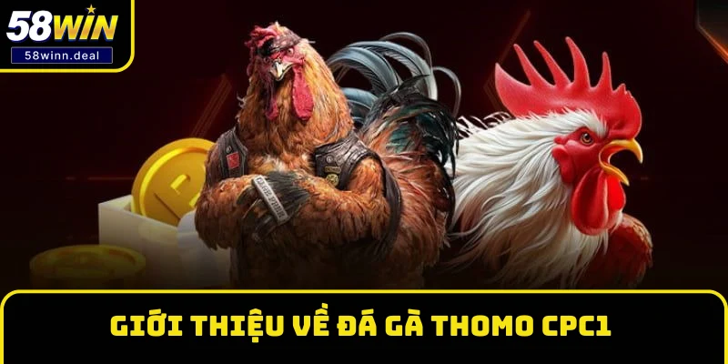 Giới thiệu về đá gà Thomo CPC1 Giới thiệu về đá gà Thomo CPC1