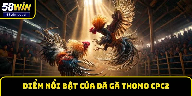 Những điểm nổi bật của sân chơi đá gà Thomo CPC2 Những điểm nổi bật của sân chơi đá gà Thomo CPC2