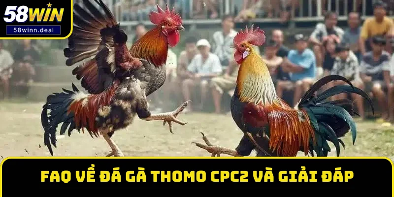 FAQ về đá gà Thomo CPC2 và giải đáp FAQ về đá gà Thomo CPC2 và giải đáp